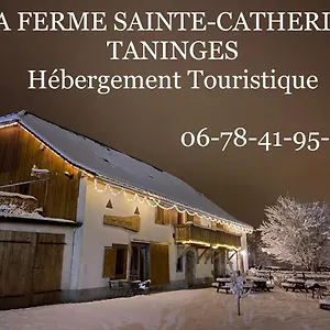 La Ferme Sainte Catherine Chalet Taninges